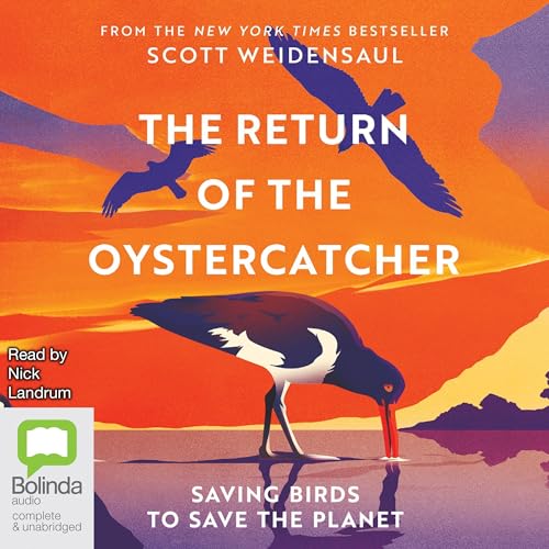 Cover of The Return of the Oystercatcher