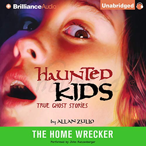 Cover of The Home Wrecker