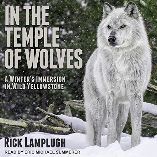 Cover of In the Temple of Wolves