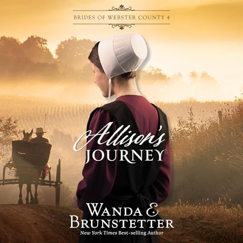 Cover of Allison's Journey