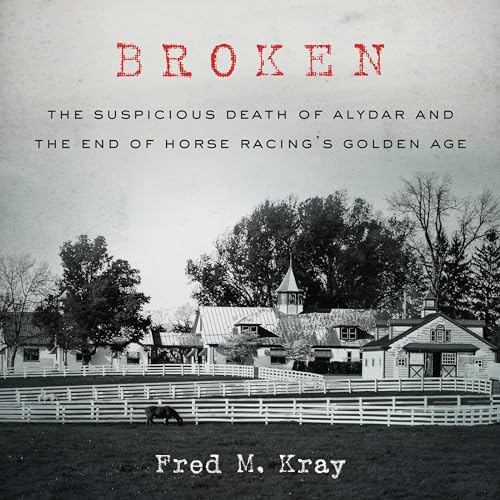 Cover of Broken