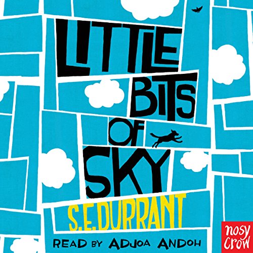 Cover of Little Bits of Sky