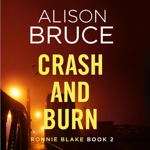 Cover of Crash and Burn