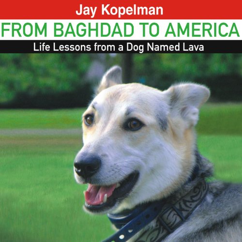 Cover of From Baghdad to America