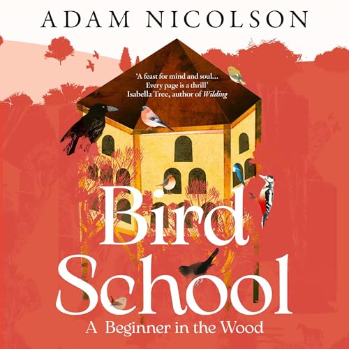 Cover of Bird School