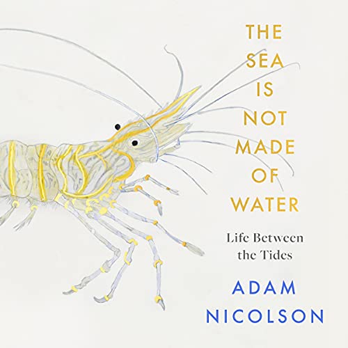 Cover of Life Between the Tides