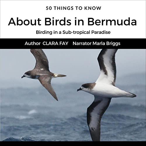 Cover of 50 Things to Know About Birds in Bermuda