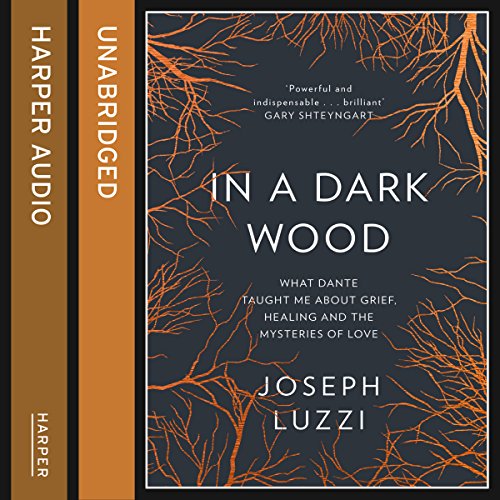 Cover of In a Dark Wood