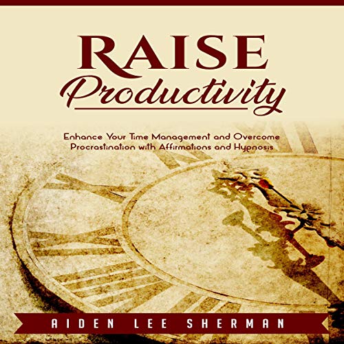 Cover of Raise Productivity