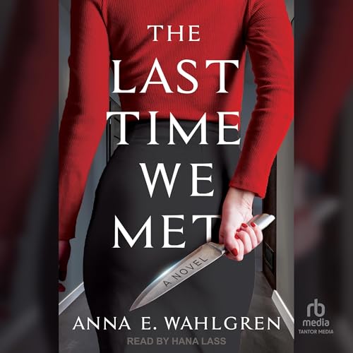Cover of The Last Time We Met