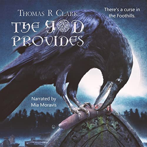 Cover of The God Provides