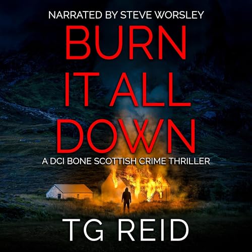 Cover of Burn It All Down