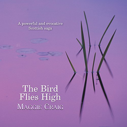 Cover of The Bird Flies High