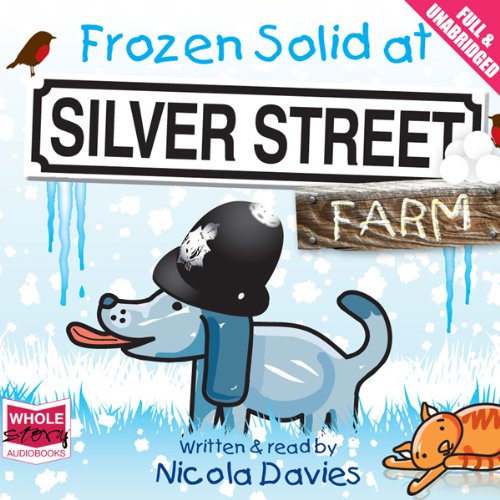 Cover of Frozen Solid at Silver Street Farm