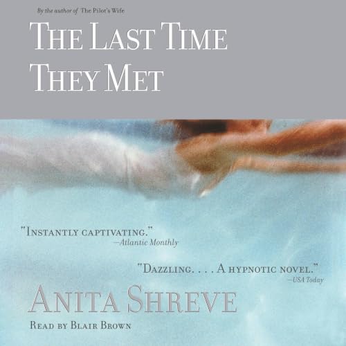 Cover of The Last Time They Met