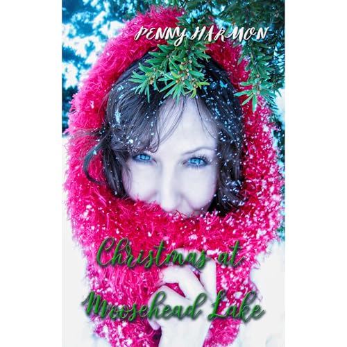 Cover of Christmas at Moosehead Lake