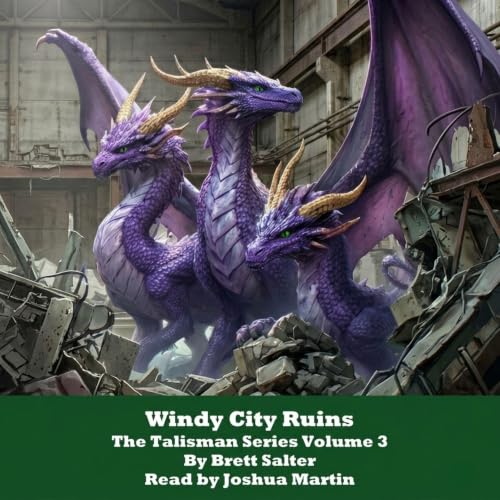 Cover of Windy City Ruins