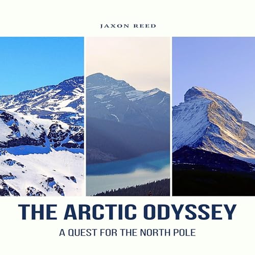 Cover of The Arctic Odyssey