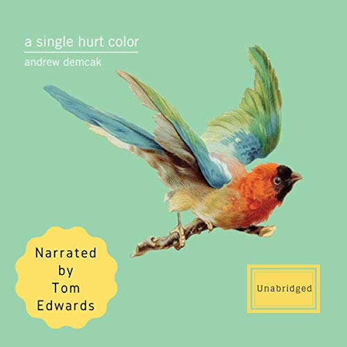 Cover of A Single Hurt Color