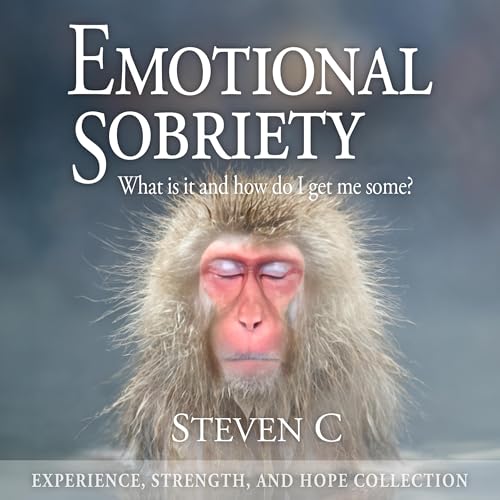 Cover of Emotional Sobriety