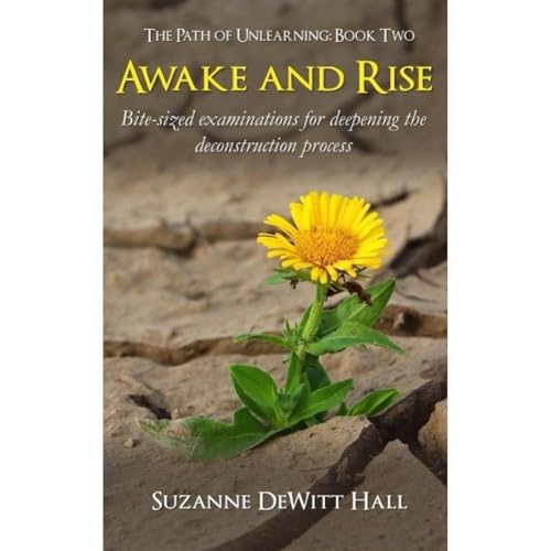 Cover of Awake and Rise