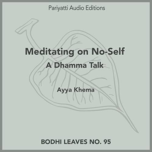 Cover of Meditating on No-Self