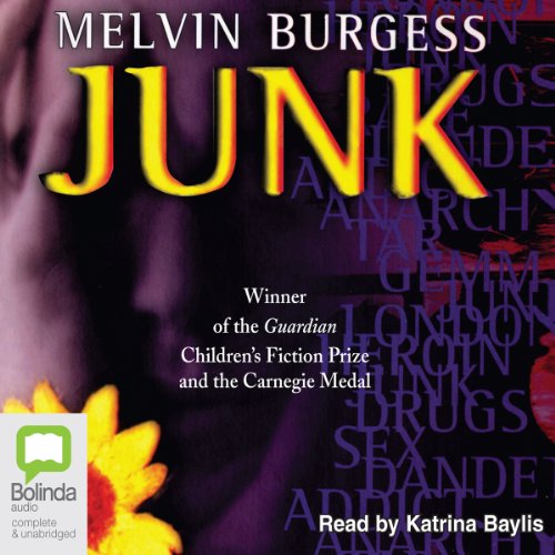 Cover of Junk