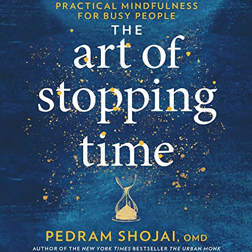 Cover of The Art of Stopping Time