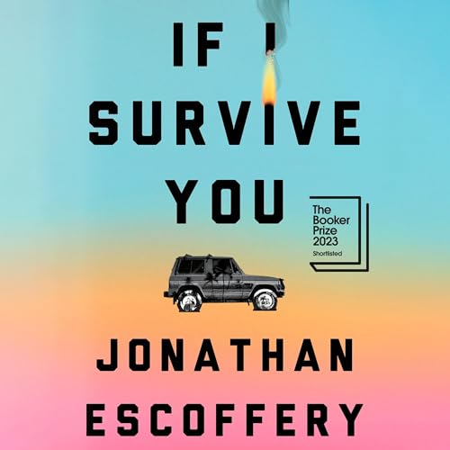 Cover of If I Survive You