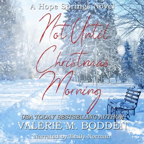 Cover of Not Until Christmas Morning