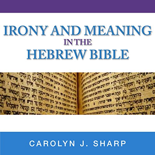 Cover of Irony and Meaning in the Hebrew Bible