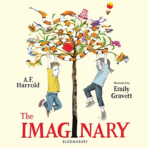 Cover of The Imaginary