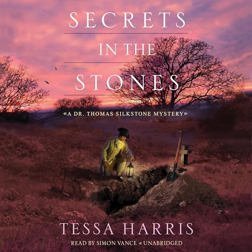 Cover of Secrets in the Stones