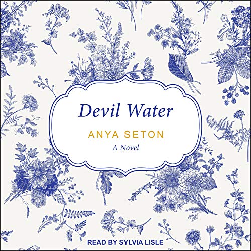 Cover of Devil Water