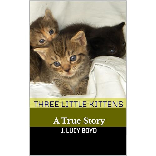 Cover of Three Little Kittens