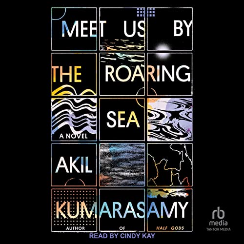 Cover of Meet Us by the Roaring Sea