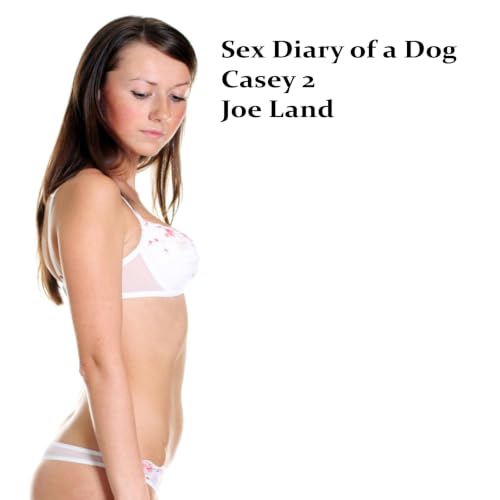 Cover of Casey 2