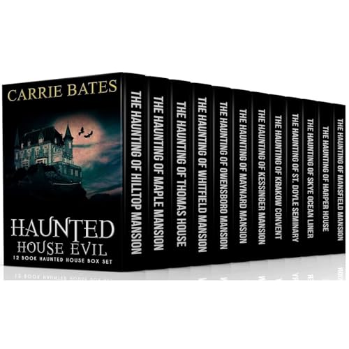 Cover of Haunted House Evil