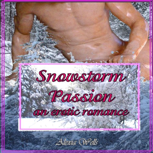 Cover of Snowstorm Passion