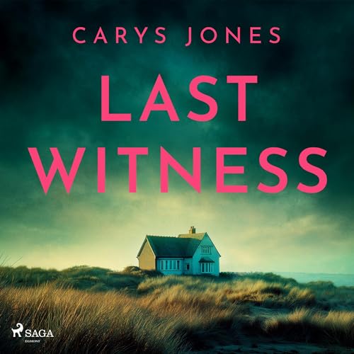 Cover of Last Witness