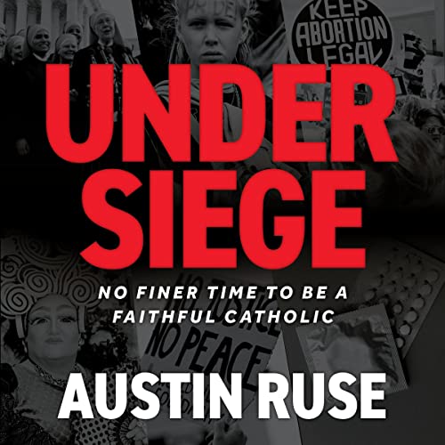 Cover of Under Siege