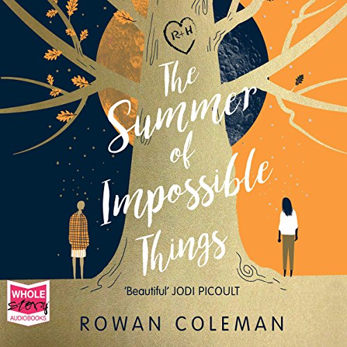 Cover of The Summer Of Impossible Things
