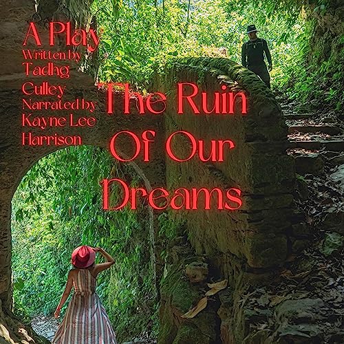 Cover of The Ruin of Our Dreams