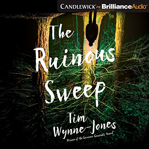 Cover of The Ruinous Sweep