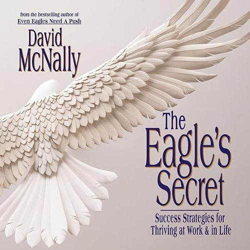 Cover of The Eagle's Secret