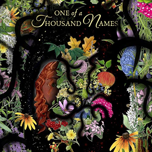 Cover of One of a Thousand Names