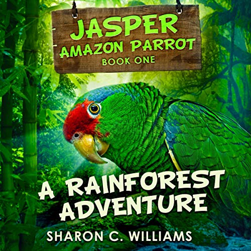 Cover of A Rainforest Adventure