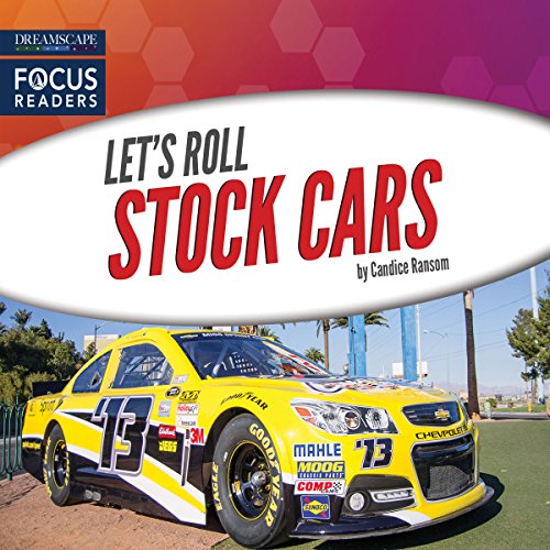 Cover of Stock Cars