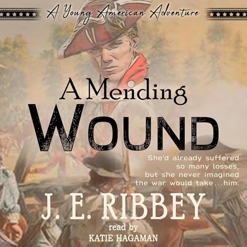 Cover of A Mending Wound