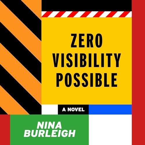 Cover of Zero Visibility Possible